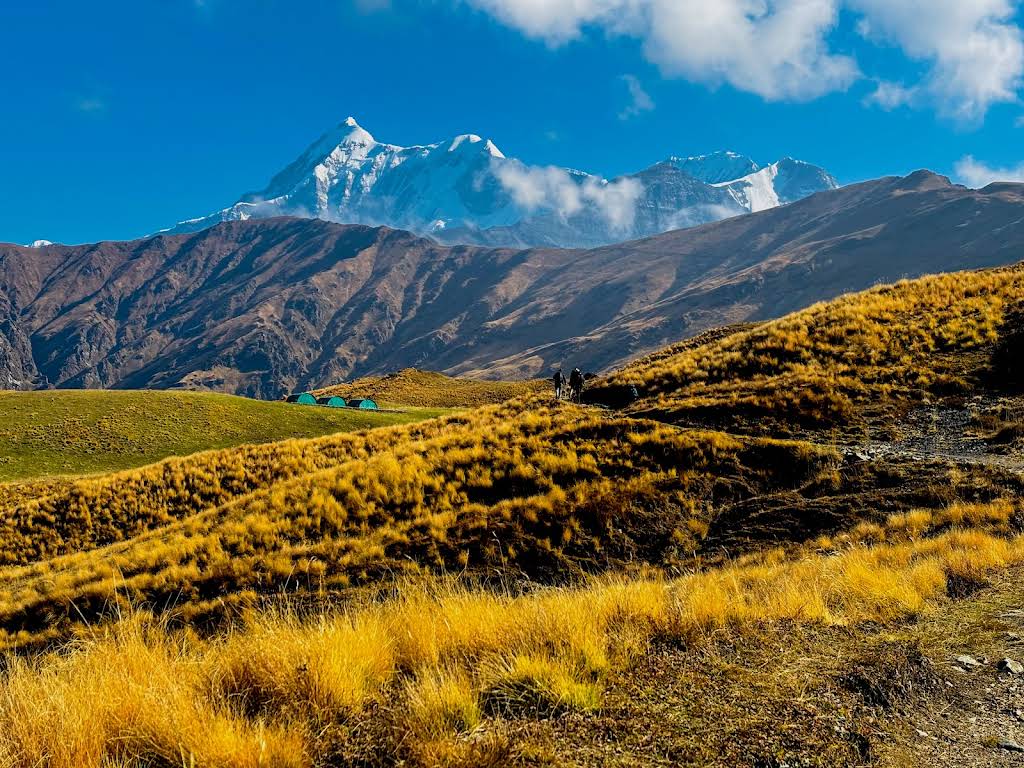 Ali Bedni Bugyal trek - Trek in Chamoli, Uttarakhand